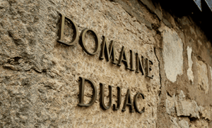 New Additions, Domaine Dujac including a rare magnum of Clos de la Roche 22