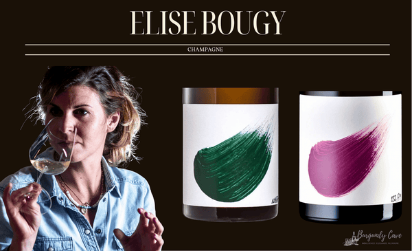 Rare, Rising Star in Champagne: Elise Bougy from HK$1,500 per bt