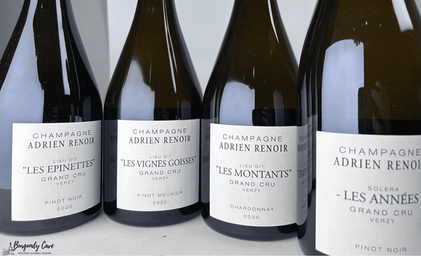 🔥STOCK SALE: Adrien Renoir Champagne