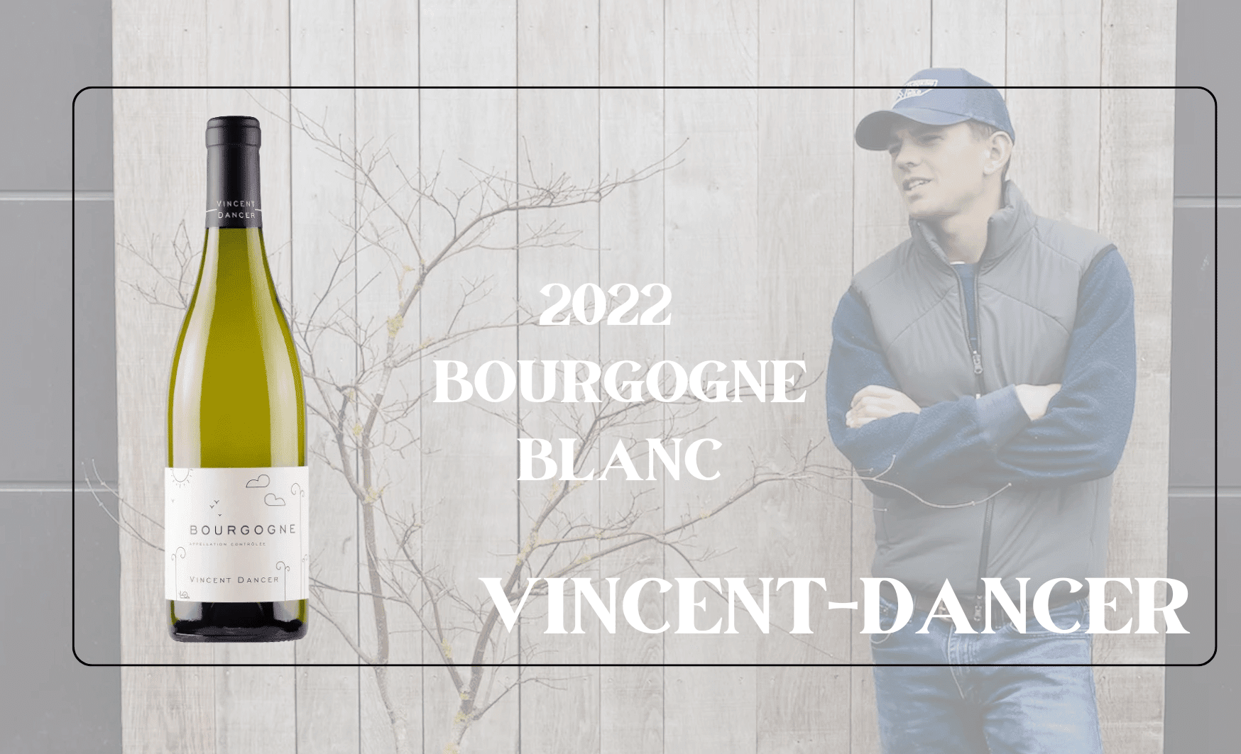 From Vines in Puligny and Meursault, Vincent Dancer Bourgogne