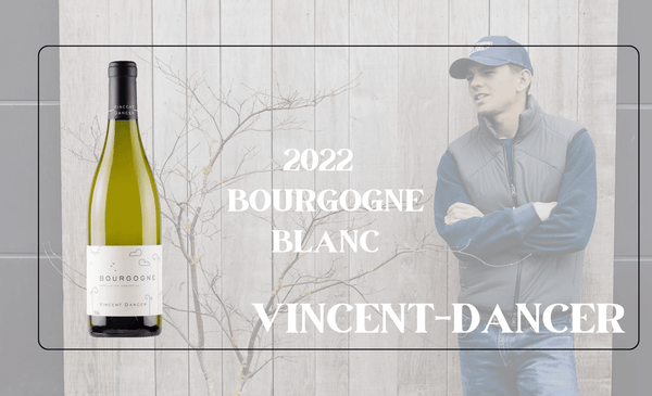 From Vines in Puligny and Meursault, Vincent Dancer Bourgogne Blanc 2022