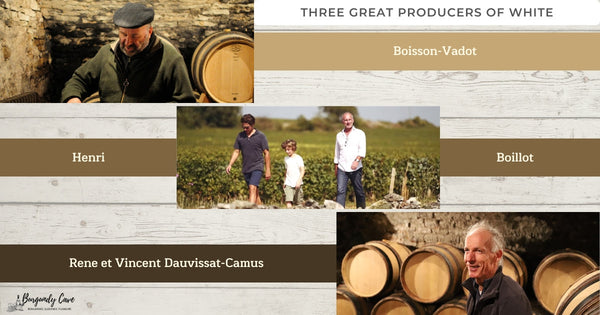 Three Great Producers of White: Boisson Vadot, Henri Boillot and Dauvissat-Camus