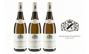 New Release: Noël Ramonet Chassagne-Montrachet Les Ruchottes 1er Cru 2024 at HK$2,250 per Bt