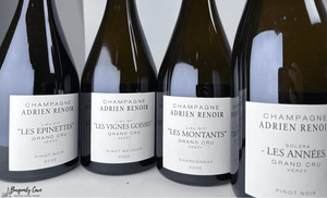 💥SALE! Champagne Adrien Renoir, Immediately Available Now