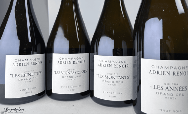 💥SALE! Champagne Adrien Renoir, Immediately Available Now