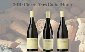 Top Vintage, 2019 Village and 1er Cru from PYCM