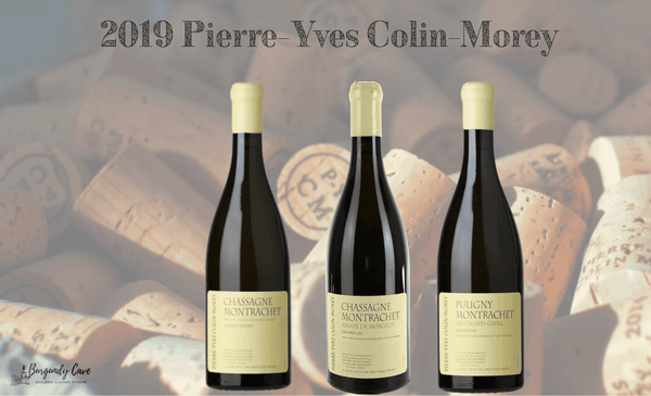 Top Vintage, 2019 Village and 1er Cru from PYCM