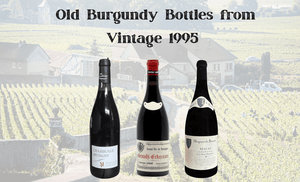 First Glance of Old Burgundy Bottles from Vintage 1995, Starting from HK$550 per bottle