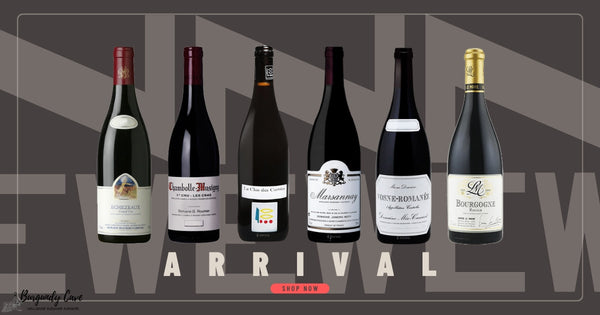 Burgundy Red Arrival: 1986 Fourrier, Domaine Leroy, Georges Roumier and More!