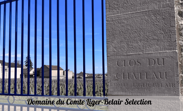 Domaine du Comte Liger-Belair Selection, All Immediately for Delivery