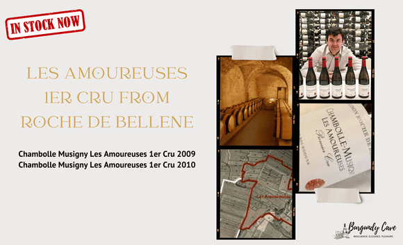 In Stock: Les Amoureuses 1er Cru 2009 & 2010 from Nicolas Potel