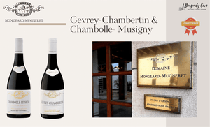 World Lowest! Mongeard-Mugneret Gevrey-Chambertin & Chambolle-Musigny 2019