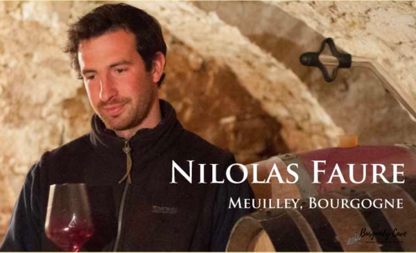 🌟New Stocks, Nicolas Faure from 2017