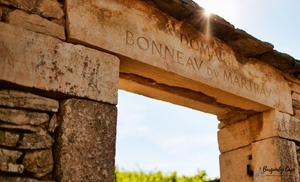 Mature Bonneau du Martray Corton-Charlemagne Grand Cru from 1995 & 1997