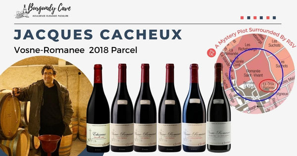 Domaine Christian Clerget Les Violettes 2022 Vosne Romanée Rouge - Vin rouge bio 75cl Domaine Christian Clerget Les Violettes 2022 Vosne Romanée Rouge - Vin rouge bio 75cl