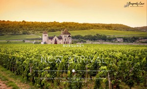 New Arrival of Burgundy: Ghislaine Barthod, Armand Rousseau, Duroche, Ramonet and more!