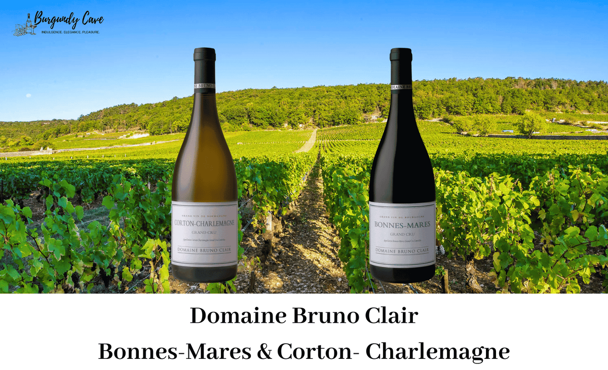 Just Arrived, Up to 97 Pts: Bruno Clair Bonnes Mares & Corton