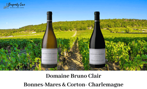 Just Arrived, Up to 97 Pts: Bruno Clair Bonnes Mares & Corton-Charlemagne