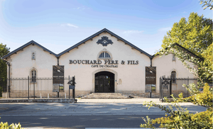 New Arrival: "Outstanding" 2017 Meursault "Les Gouttes d'Or" from Bouchard