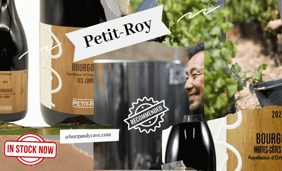 All in Stock: An Exciting Name in Burgundy, Petit Roy by Seiichi Saito