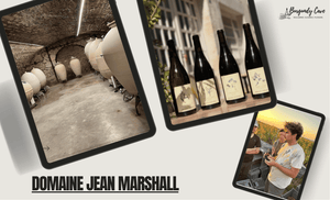 🤩RARE: Domaine Jean Marshall Assortment Case