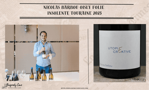 A Talented Winemaker: Nicolas Barbou Oisly Folie Insolente Touraine 2023