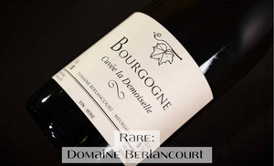 Guided by Coche Dury🌟A Rising Star, Domaine Berlancourt