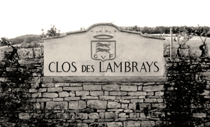 New Addition, Special Discount: Clos des Lambrays Grand Cru 2008