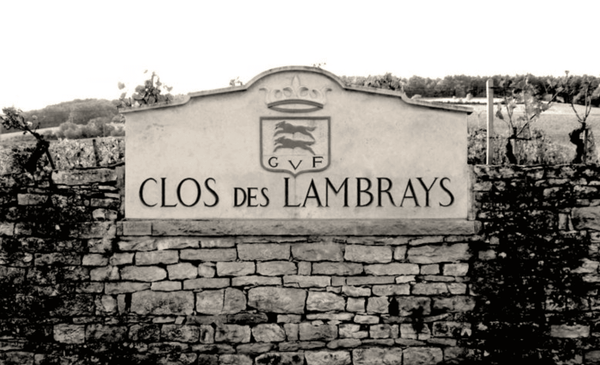 New Addition, Special Discount: Clos des Lambrays Grand Cru 2008
