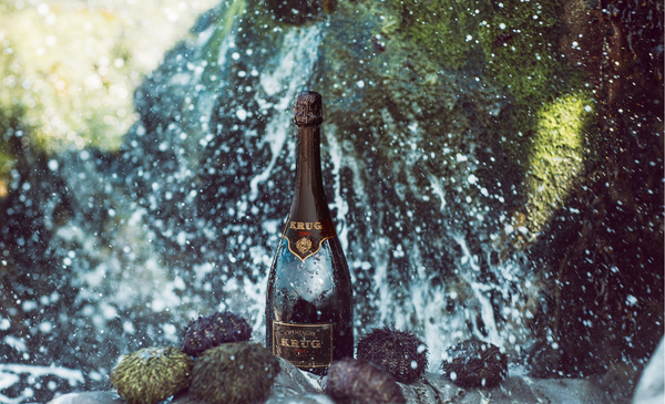 In Stock, Special Discounts: Krug Vintage 2004