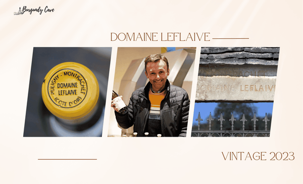 New Availabilities: Domaine Leflaive 2023, the Last Vintage from Pierre Vincent