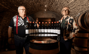 Sharp Prices, Domaine Dider Amiot Selection from 2020 & 2021