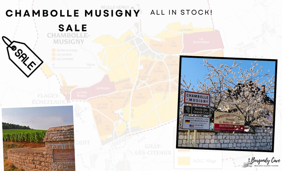 Chambolle-Musigny SALE: Extra 3% Off, All in Stock