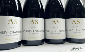 Unbeatable Prices, Classic Burgundy from Domaine Robert Sirugue Team