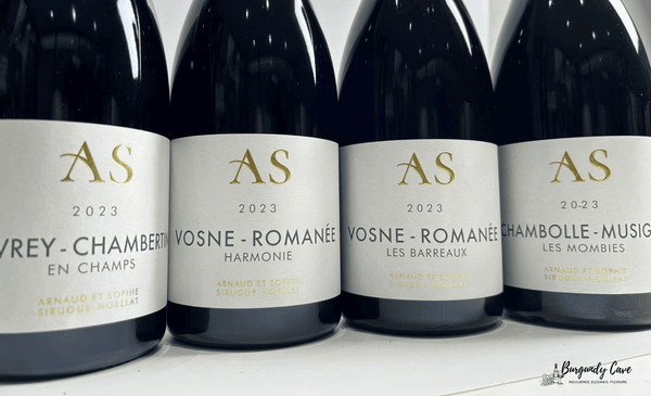 Unbeatable Prices, Classic Burgundy from Domaine Robert Sirugue Team