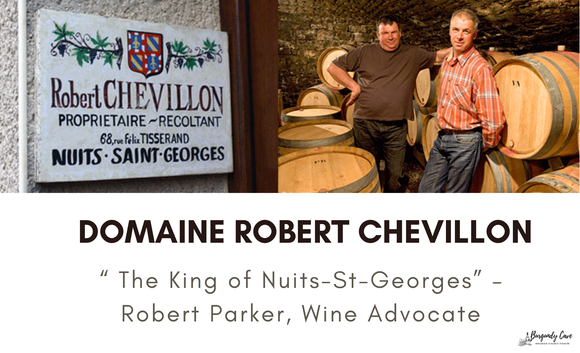 Domaine Robert Chevillon SALE until 15th Jan 24