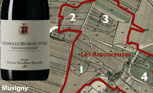 ❤️Amoureuses from Robert Groffier, Just 1pts below Georges Roumier