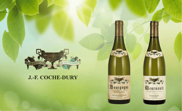Back Vintages Bourgogne and Meursault from Coche Dury