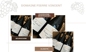 🔥In High Demand, Domaine Pierre Vincent
