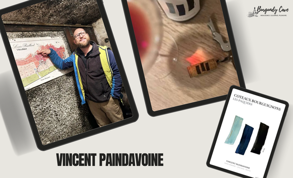 🌟Tiny Allocations, A New Star, Vincent Paindavoine