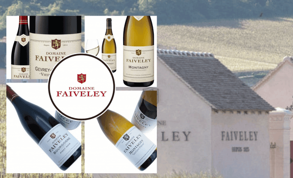 💥Just Arrived! Daily Consumption Wines from Faiveley