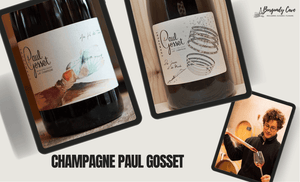🌟Just Arrived, Paul Gosset Champagne including Coteaux Champenois