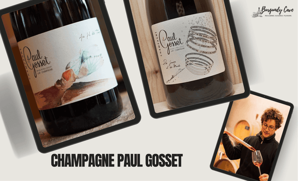 🌟Just Arrived, Paul Gosset Champagne including Coteaux Champenois