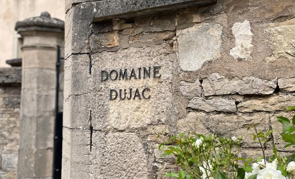 😃Dujac Selections, 79 Choices from 1998 to 2023