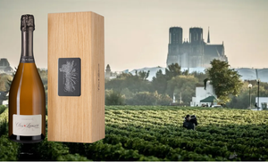 "A lot of similarities to Clos du Mesnil" -Richard Juhlin, 2008 Lanson 'Clos Lanson'