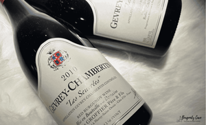 🤩Only HK$1,480 per bottle! 2010 Robert Groffier Gevrey-Chambertin Les Seuvrees