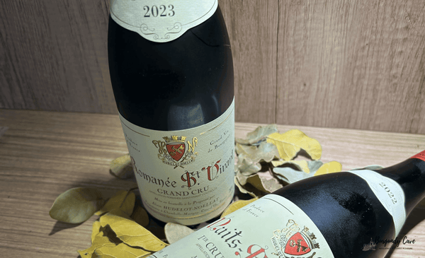 11% Off, Hudelot Noellat Bundle Offer including a Romanee-Saint-Vivant