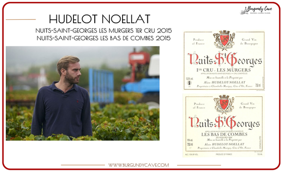 2015 Hudelot-Noellat Nuits-Saint-Georges from only HK$1,100 per Bt