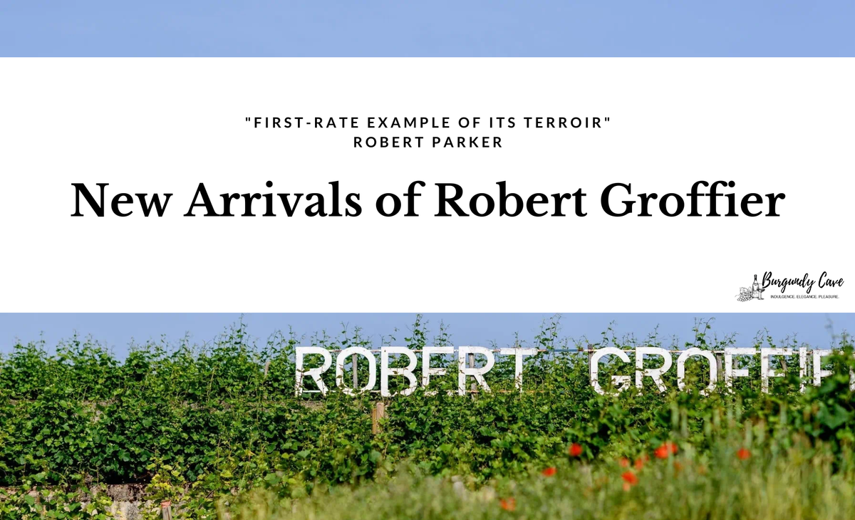 Terroir Example New Arrivals of Robert Groffier,