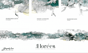 💥New Prices on Les Horées: Starting from HK$1,080 per Bt